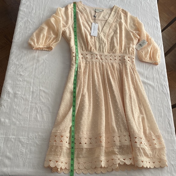 Pretty blush pink dress with feminine lace detail. Molly Bracken. Size Large. - Picture 8 of 10